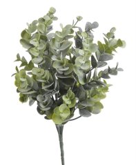 trs eukalyptus zaprášený  - zelená