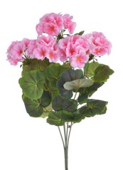 pelargonie trs x5 - růžová