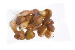 hříbky mix 4,5 - 6 cm (9 ks)