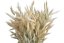 oves natural (70g)