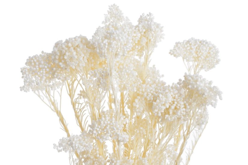 květy horské rýže (80 g) - bílá/krém