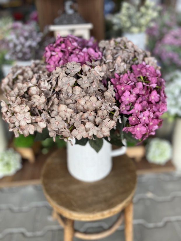 hortenzie s listy - trs, růžová sytá