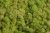moss extra (100 g), islandský mech - sv. zelený