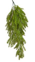 erica převislá 78 cm trs x5 - zelená