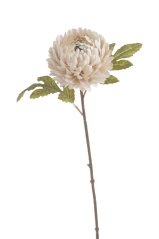 chryzantéma 51 cm - krémová vintage