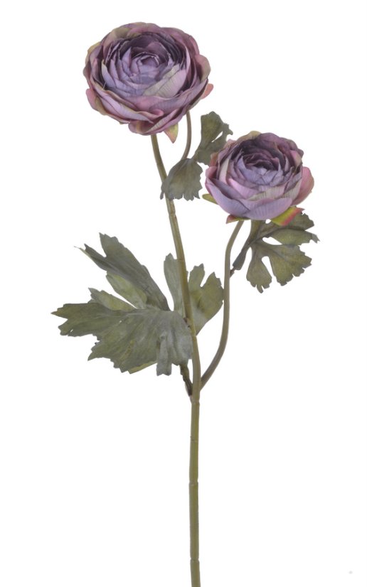 pryskyřník 50 cm - fialová