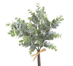 eukalyptus (3 ks)