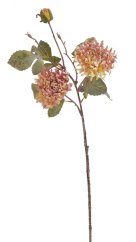 chryzantéma vintage 82 cm - krém/růžová