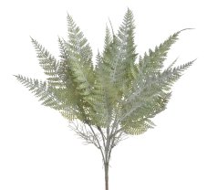 kapradina trs 43 cm - zelená