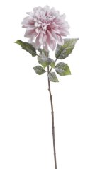 zasněžená jiřina 71 cm - růžová