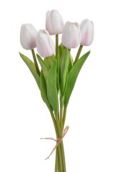 tulipán pěnový (5 ks) - bílá/růžová