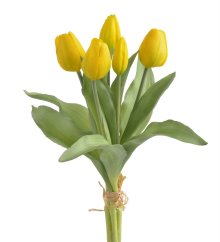 svazek tulipánů (5 ks) - žlutá
