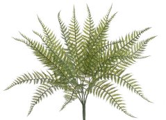 kapradí trs 55 cm - zelená tmavší