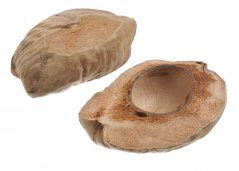 coco nut - half cut (kokosový ořech)