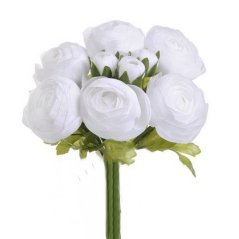 ranunculus svazek - sněhová bílá
