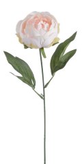 pivoňka s listy 44 cm - světlá broskvová