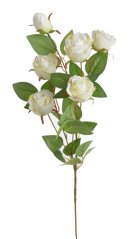 zahradní růže 79 cm - krémová
