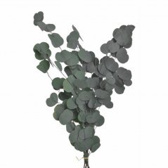 eukalyptus sušený (75 g) - šedozelená