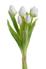 svazek tulipánů (5 ks) - bílá