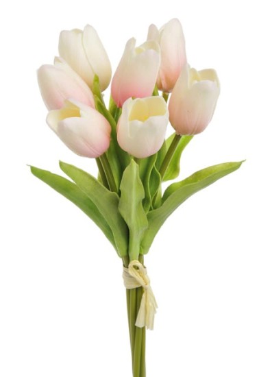 tulipán pěnový (7 ks) - krémovorůžová