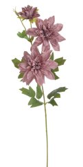 jiřina 81 cm - starorůžová