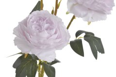 plnokvětá růže 65 cm - světlá fialová