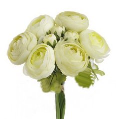 ranunculus svazek - zelená světlá