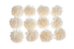 jiřiny - hlavičky (12 ks) - bílá/krém