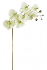 orchidea 100 cm - zelená