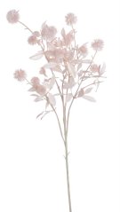 divoký česnek 85 cm - světlá růžová
