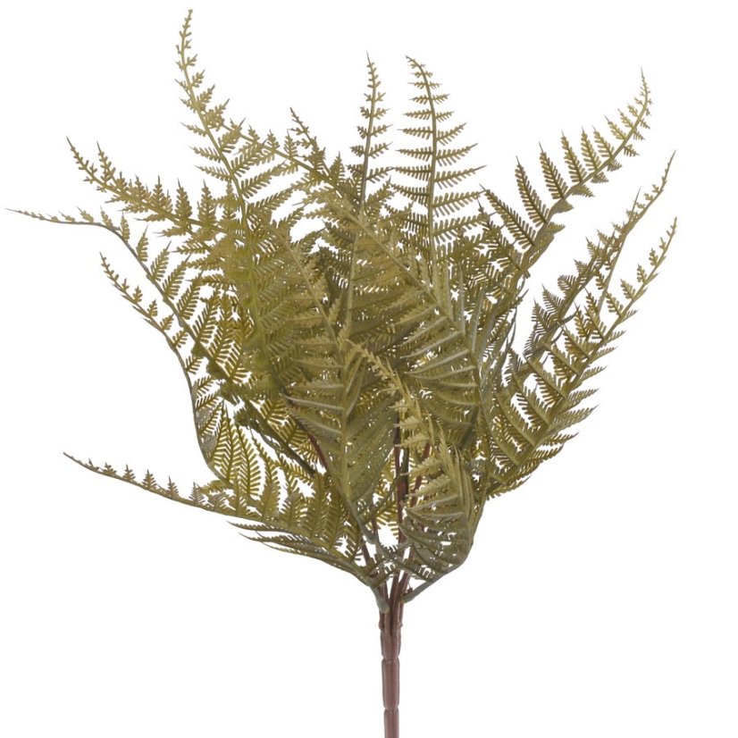 kapradí trs 55 cm - olivová