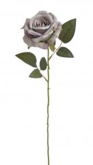 růže na dlouhém stonku - fialová vintage
