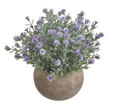 květinky v květináči - fialová