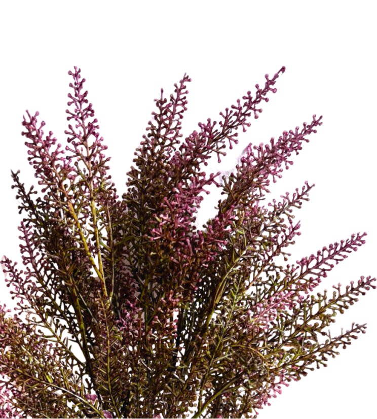 vřes trs - růžová tmavá