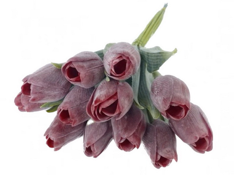 tulipán s listem (6 ks) - červená tmavší