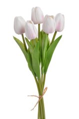 tulipán pěnový (5 ks) - bílá/růžová