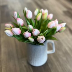 zväzok tulipánov (5 ks) - biely a ružový