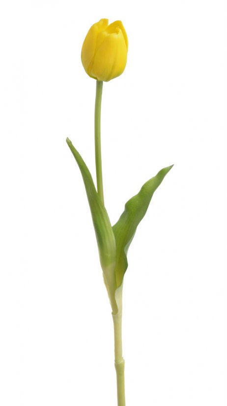 tulipán 40 cm - žlutá