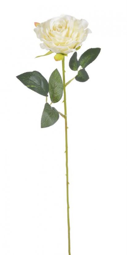 růžička 52 cm - vanilková