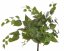 trs listů 63 cm - zelená
