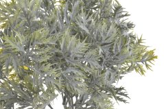 eryngium listy flok - zelená