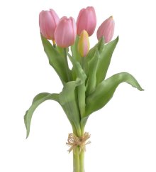 svazek tulipánů (5 ks) - růžová