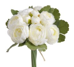 ranunculus svazek x10 - bílá