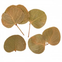 moneta leaf (100 g)