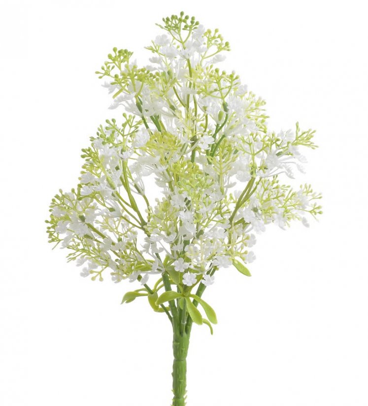 trs drobné květy - bílá