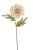 květ jiřiny 38 cm - béžová/krém