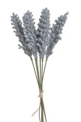 amaranthus svazek - šedomodrá