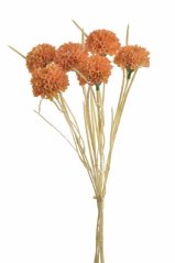 česnek svazek - oranžová (skořicová)