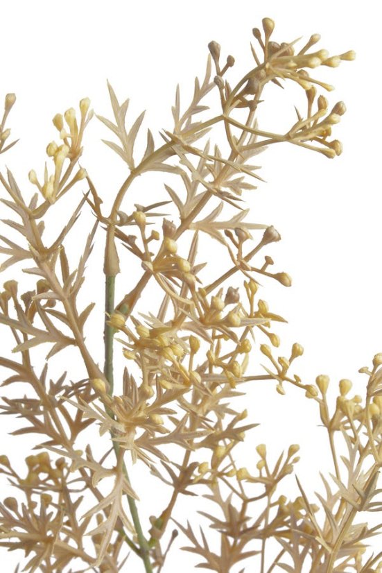 větvička broom bloom 76 cm - žlutohnědá