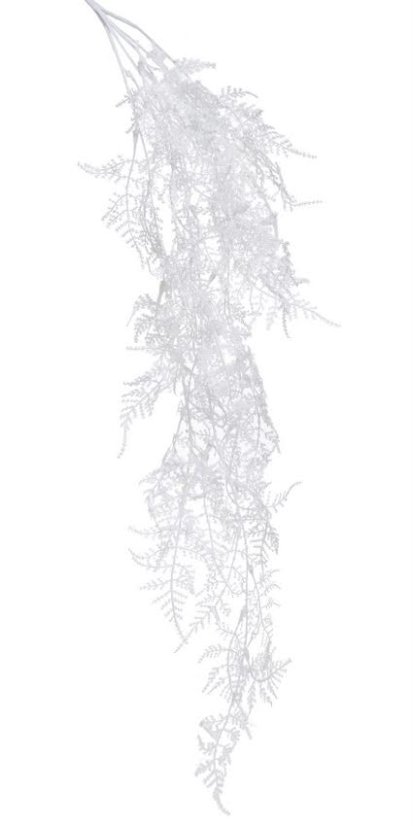 kapradí visící - trs x 5 - bílé